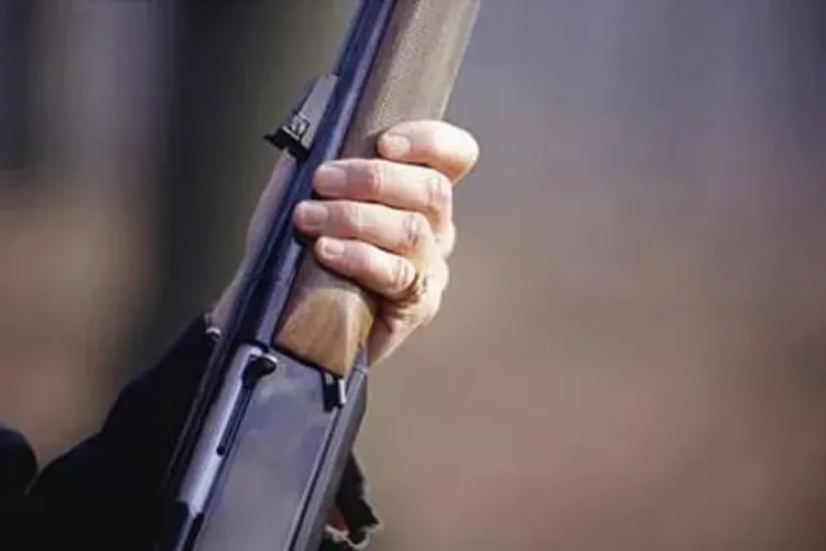 An accidental firing from a VDG's rifle in Kishtwar, Jammu and Kashmir, resulted in the death of his son.