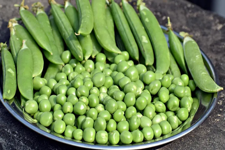 Learn about the 5 amazing benefits of eating beans and why they are essential for your health.