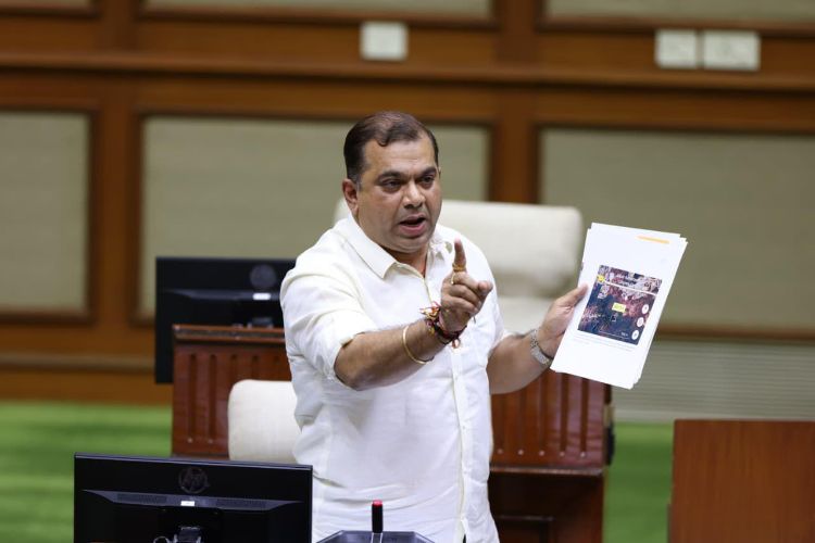 Unity Mall project is not in a wetland area, has all clearances: Goa government