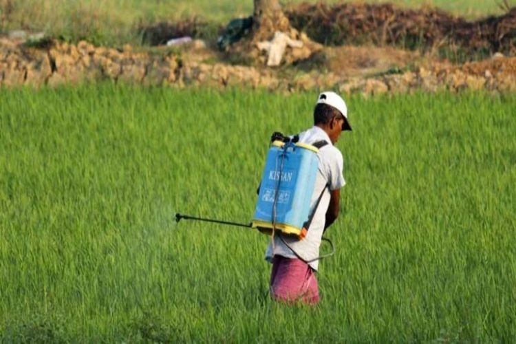 Haryana government is fully committed to protecting the interests of farmers: Agriculture Minister Rana