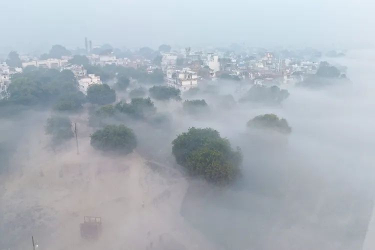 Dense fog engulfed many parts of Uttar Pradesh on Friday, with minimum temperatures settling below normal.