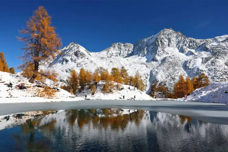 Protesters march through Alpine villages agaisnt World Economic Forum in Davos