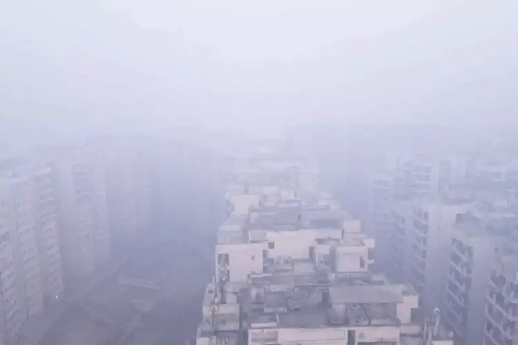 Delhi chokes again: AQI in 'severe' category at 439 as cold wave and fog persist