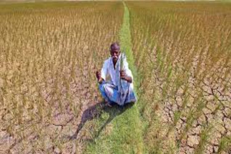 Karnataka secured second place in the country in the implementation of the Central Crop Insurance Scheme.