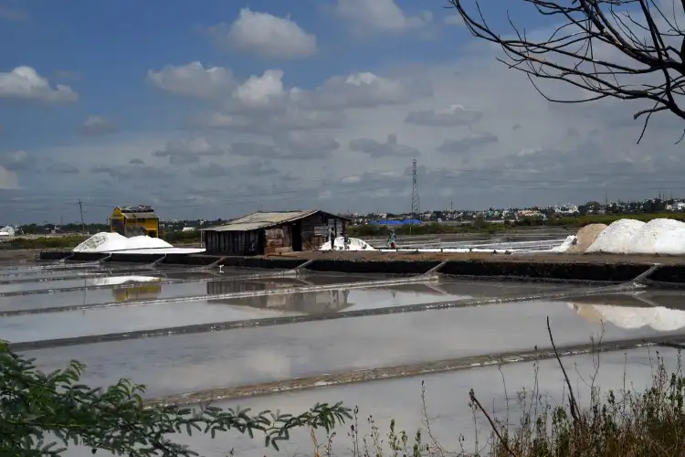 Tamil Nadu: Salt production halts in Thoothukudi as stagnant rainwater causes trouble