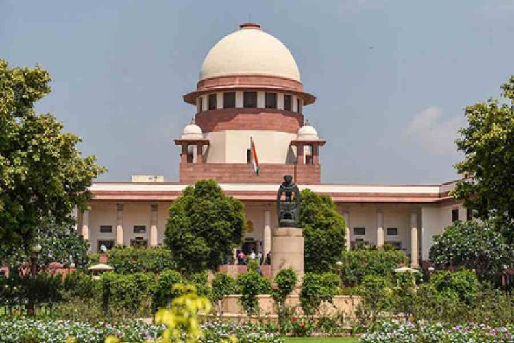 Cricket bodies should have former cricketers: Court