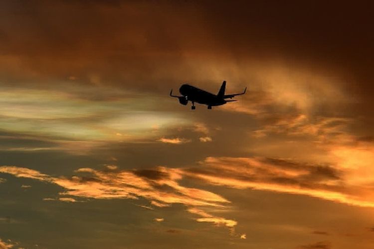 2,645 posts vacant in Airports Authority of India, three aviation regulators: MoS for Civil Aviation Mohol