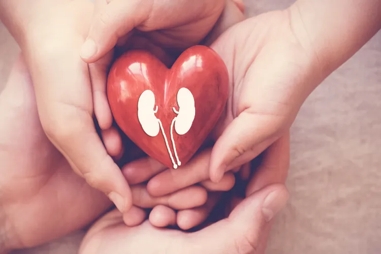 The real secret to healthy kidneys lies in what's on your plate – protecting your kidneys through your diet.