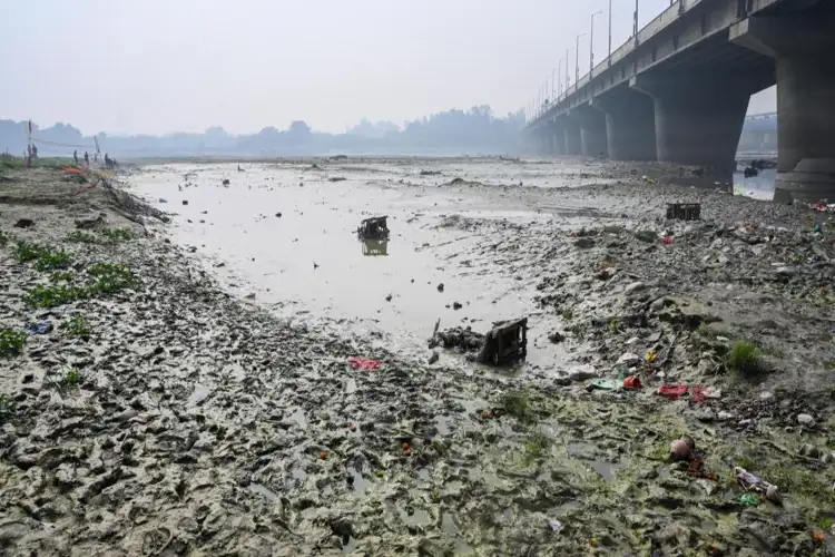 NGT seeks replies from authorities over alleged illegal construction on Yamuna floodplain