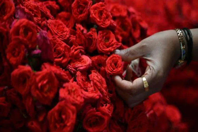 Valentine's Day: The shackles of tradition and the right to choose