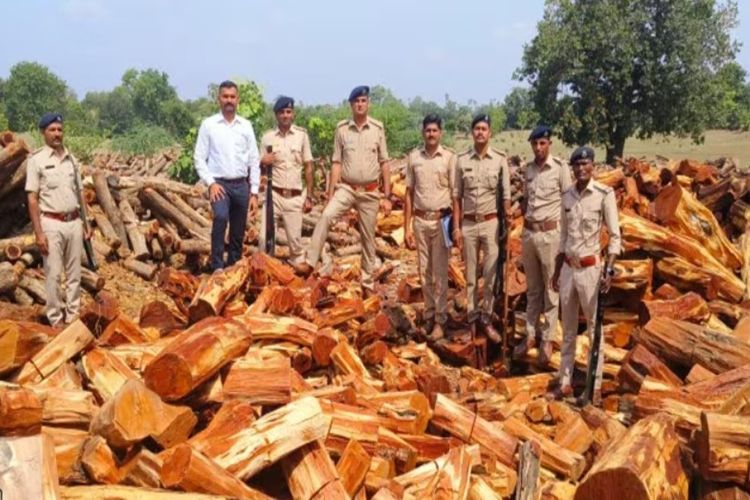 500 quintals of smuggled Khair wood seized, three arrested