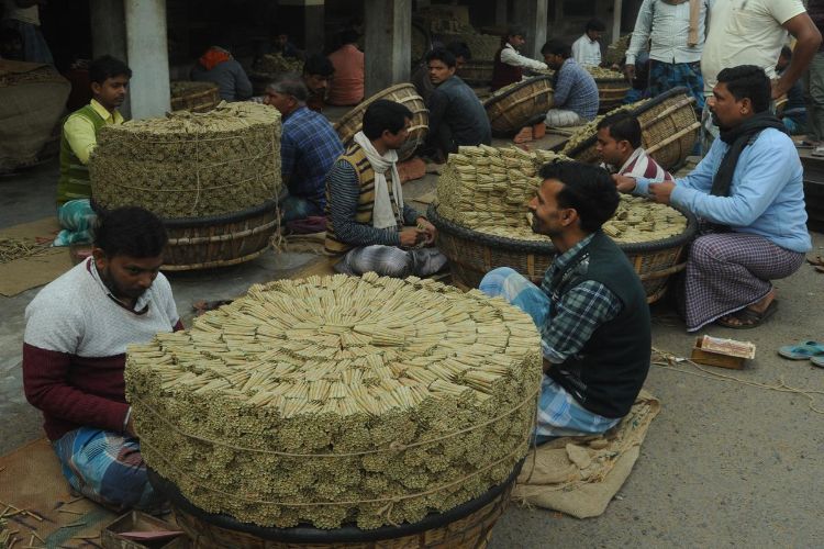 Over 1.25 lakh beedi and tobacco workers registered in Bihar: Minister