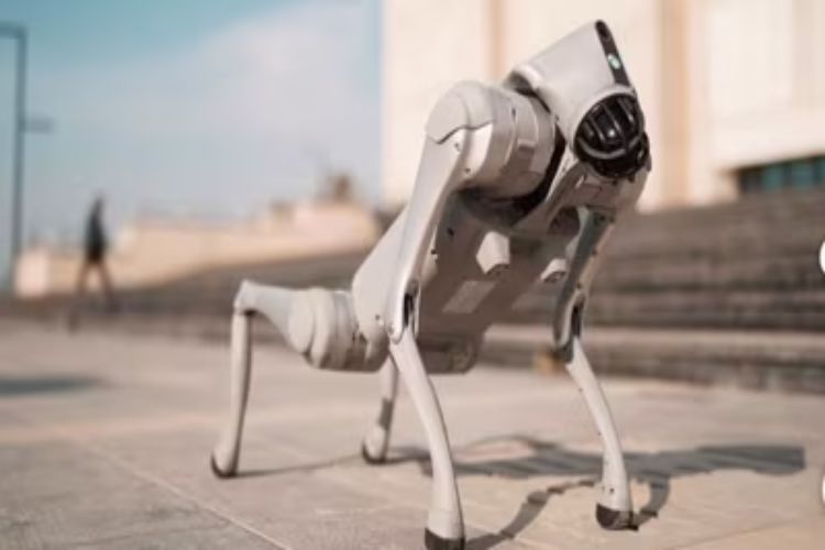 Galgotias University, which claimed a Chinese robot as its own, was expelled from the AI ​​Summit.