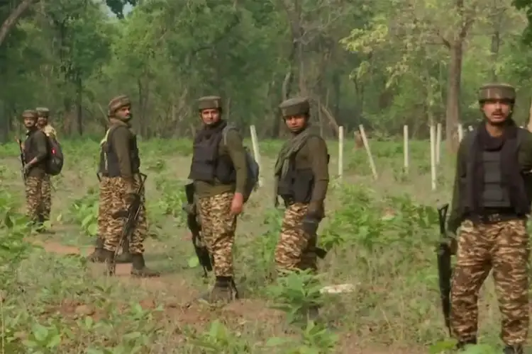 Chhattisgarh: Security forces launch Operation Black Forest 2 against naxals in Karreguttalu hills