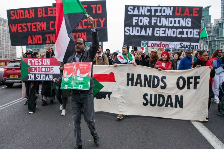 Sudan's devastation shows 'clear signs of genocide': UN expert