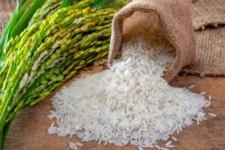India exports 7,000 MT of Fortified Rice Kernels to Madagascar; Piyush Goyal calls it reflection of nutritional capabilities