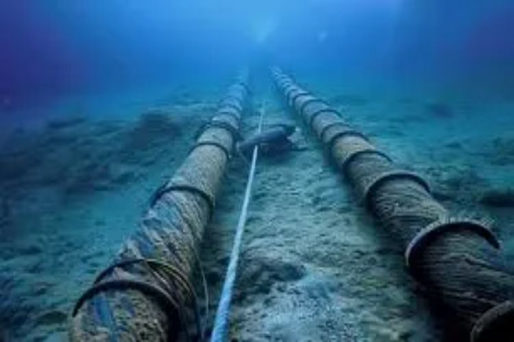 Strengthening of submarine cable system crucial for AI, digital landscape: TRAI Chairman