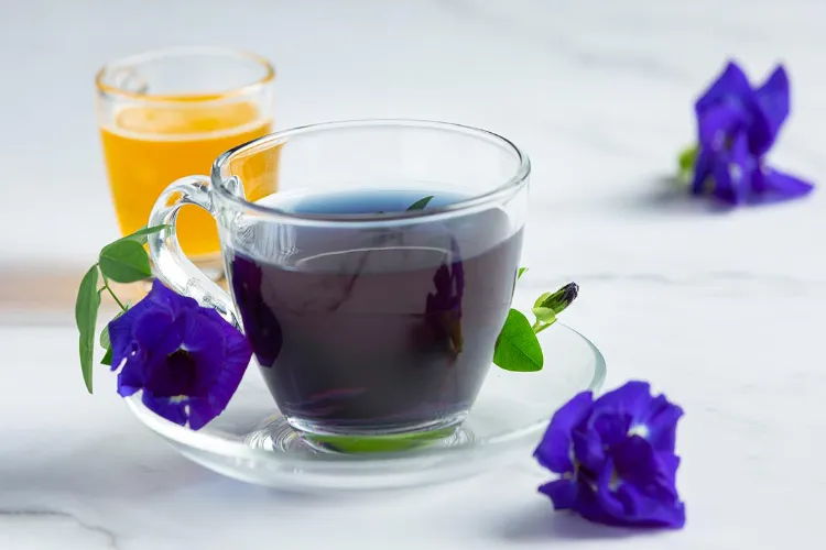 Benefits of herbal tea: What effect does drinking it daily have on the body?