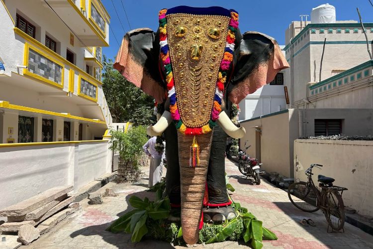 Chennai temple to use mechanical elephant to save elephants from pain