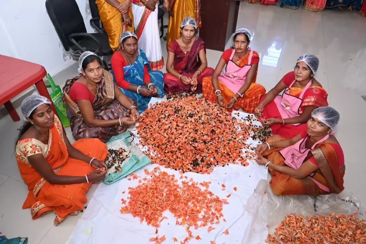 Jharkhand's self-help groups prepare herbal gulal for Holi
