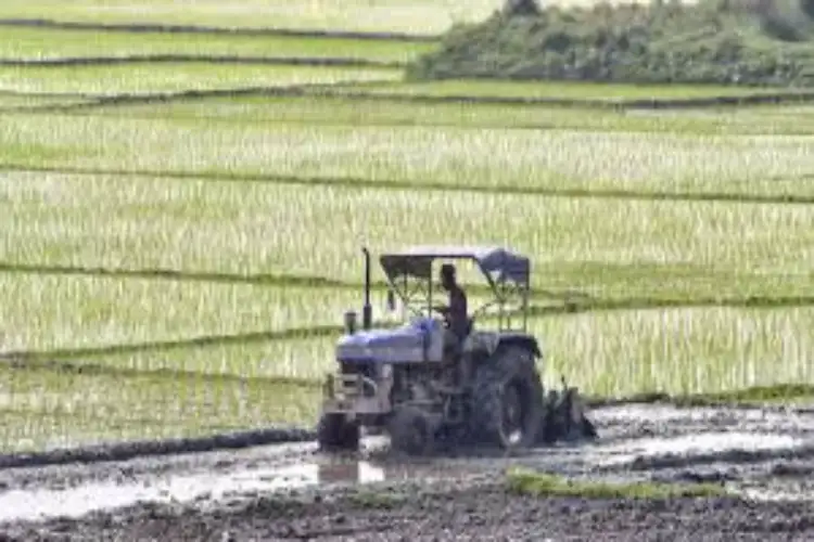 India's tractor industry growth likely to remain subdued over next few years: HSBC