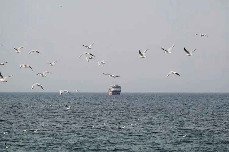 Iran opens the Strait of Hormuz, but not to everyone