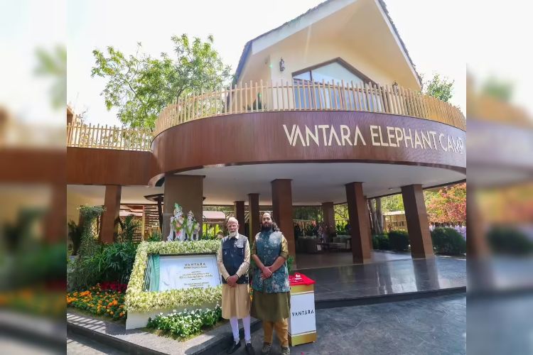 Maharashtra to send 50 leopards to Reliance Foundation's 'Vantara' centre in Gujarat: Sources