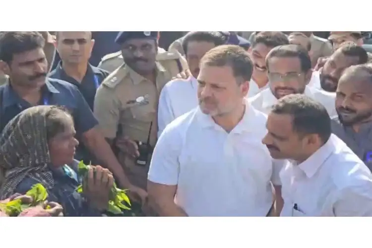 Kerala: Rahul Gandhi interacts with tea plantation workers in Kuttikkanam
