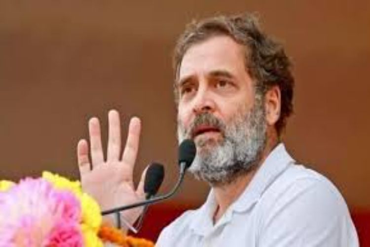 China has built a unique industrial system but it is not democratic: Rahul Gandhi
