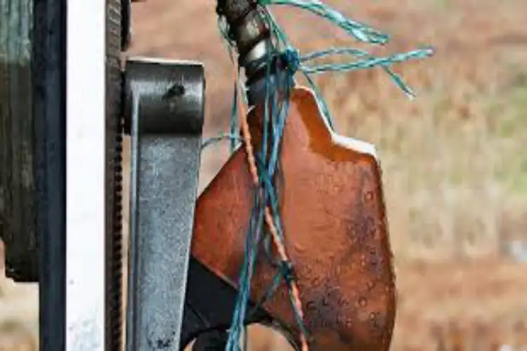 India unlikely to contribute from its strategic petroleum reserves in G7 effort, strategy is 