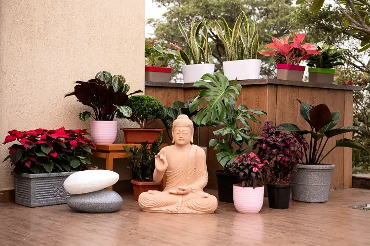 Transforming Small Balconies into Green Retreats: Simple Ideas for a Mini Garden