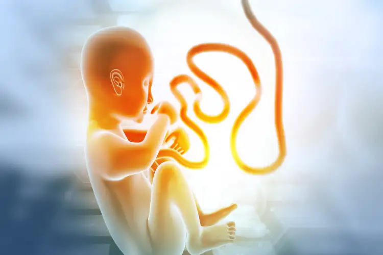 First in India successful births using umbilical cord stem cell therapy for severe Asherman's syndrome