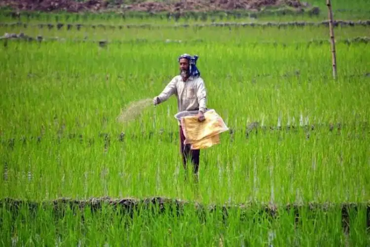 Government assures adequate fertilizer availability for Kharif season 2026