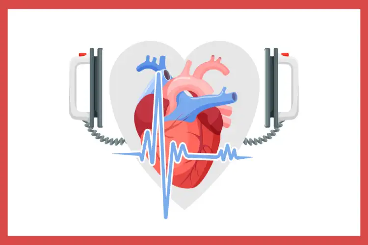 Army soldier dies of suspected cardiac arrest along LoC in J-K's Poonch