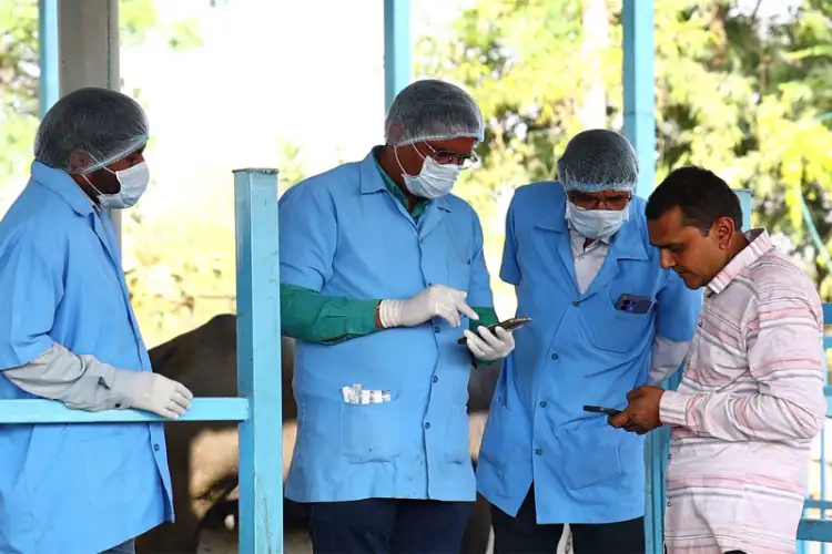 Gujarat leads Foot and Mouth Disease vaccination drive