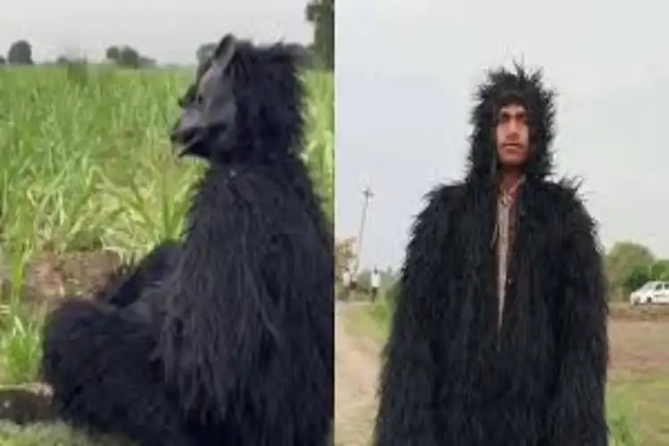 UP: Farmers in Sambhal district dress up like bears to save their crops from monkeys