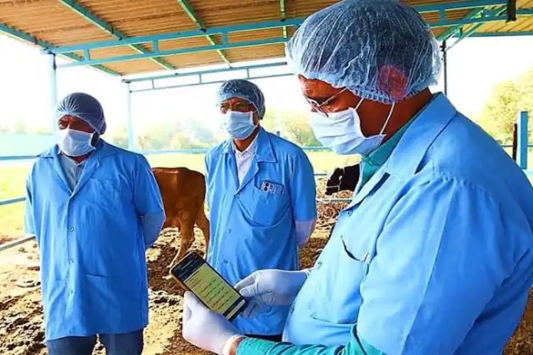 Gujarat sets sights on eradicating Foot and Mouth disease; massive vaccination drive underway