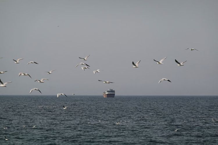 Iran warns of 'complete' closure of Strait of Hormuz after US threat