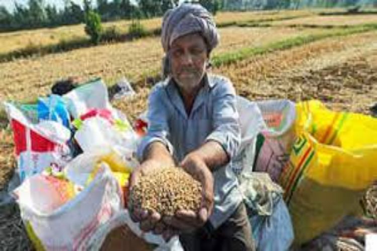 Farmers' income has not only doubled but has increased eightfold: Chauhan