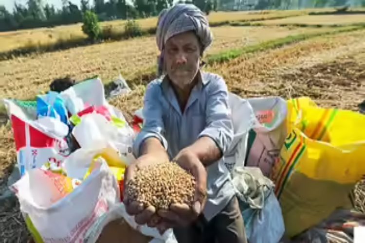 Farmers' income has not only doubled but has increased eightfold: Chauhan