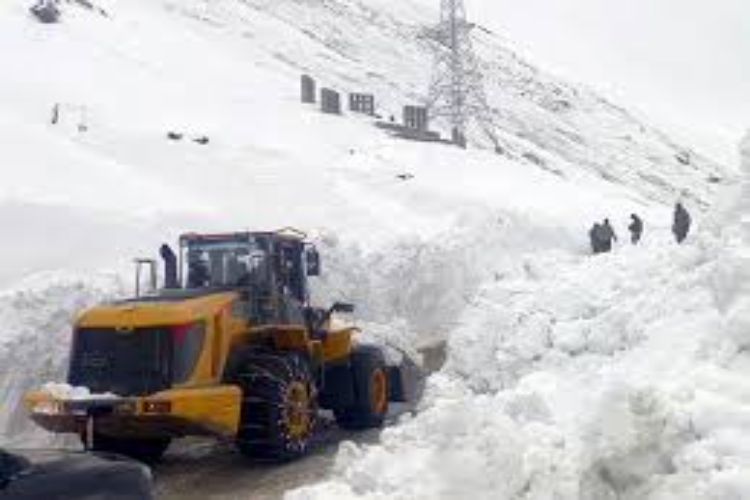 Jammu and Kashmir: Avalanche hits Srinagar-Leh highway, vehicles stranded