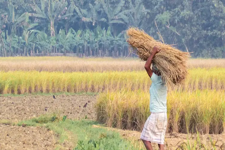 Uttarakhand govt receives Rs 91.31 crore untied grant from Centre to strengthen Panchayati Raj and Rural Development