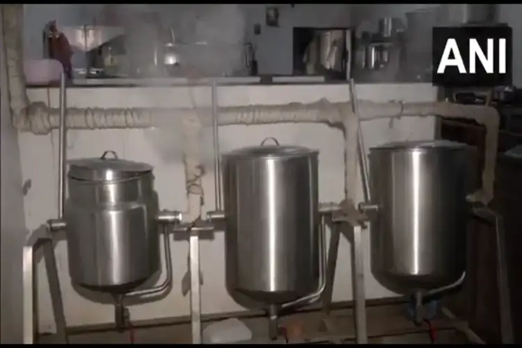 Cooking Fuel to Be Produced from Dry Leaves: IIT Bombay Develops Unique Technology