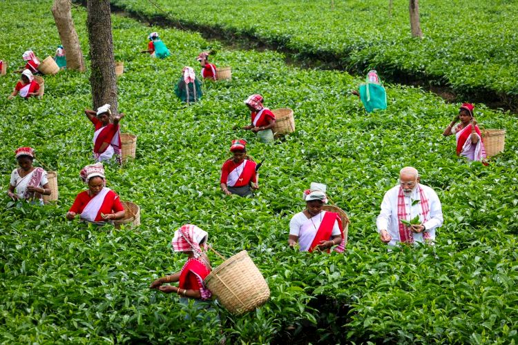 The Prime Minister visited a tea garden in Assam and spoke with women workers.