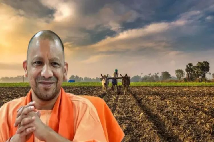 Yogi seeks report from District Magistrates on hardships faced by farmers due to unseasonal rains.