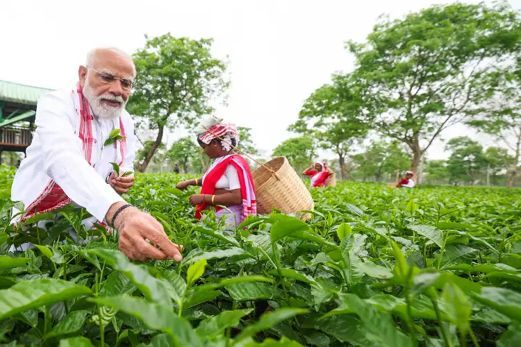 30 Assam tea workers embark on pilgrimage to Ayodhya, Kashi after PM Modi visit
