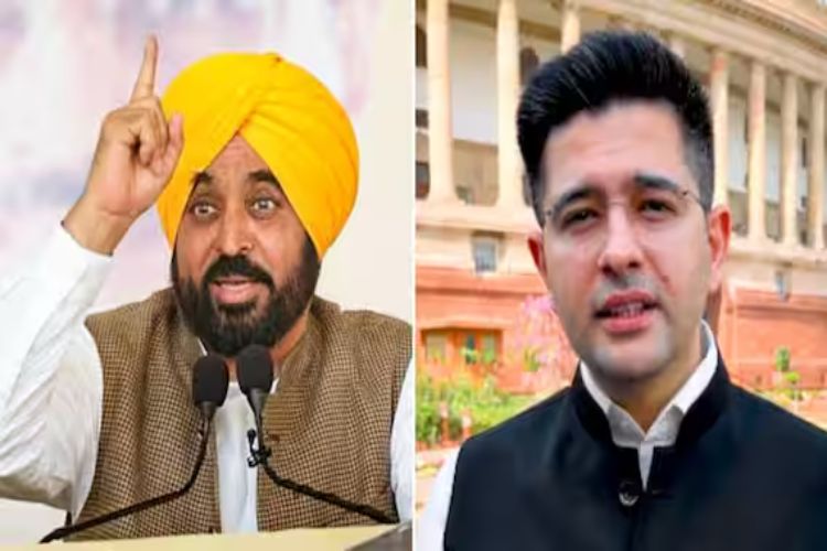 Raghav Chadha was working under pressure: Bhagwant Mann