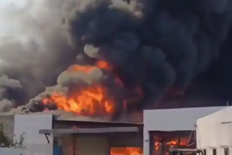Gujarat: Massive fire breaks out at textile unit in Kandla SEZ