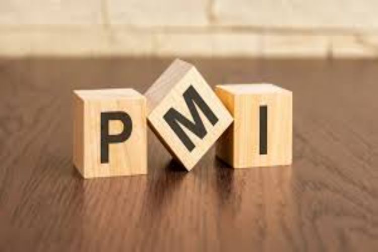 India's services sector grew at its slowest pace in 14 months in March: PMI