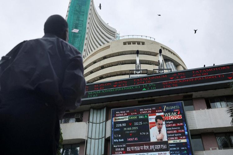 Domestic stock markets fall in early trade